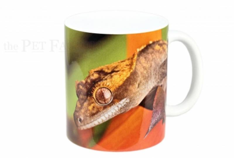 Kaffeebecher "Correlophus ciliatus 2"